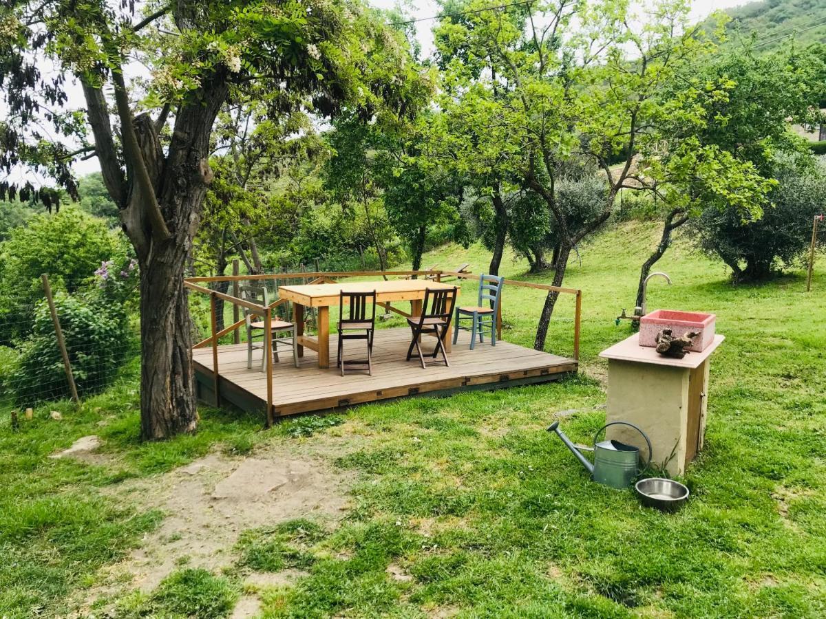 B&B Giuncaia17 Polveraia Exterior photo